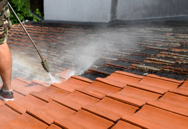 Best Exterior Home Cleaning  in Lebanon, OR